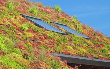 Aberargie living roof systems